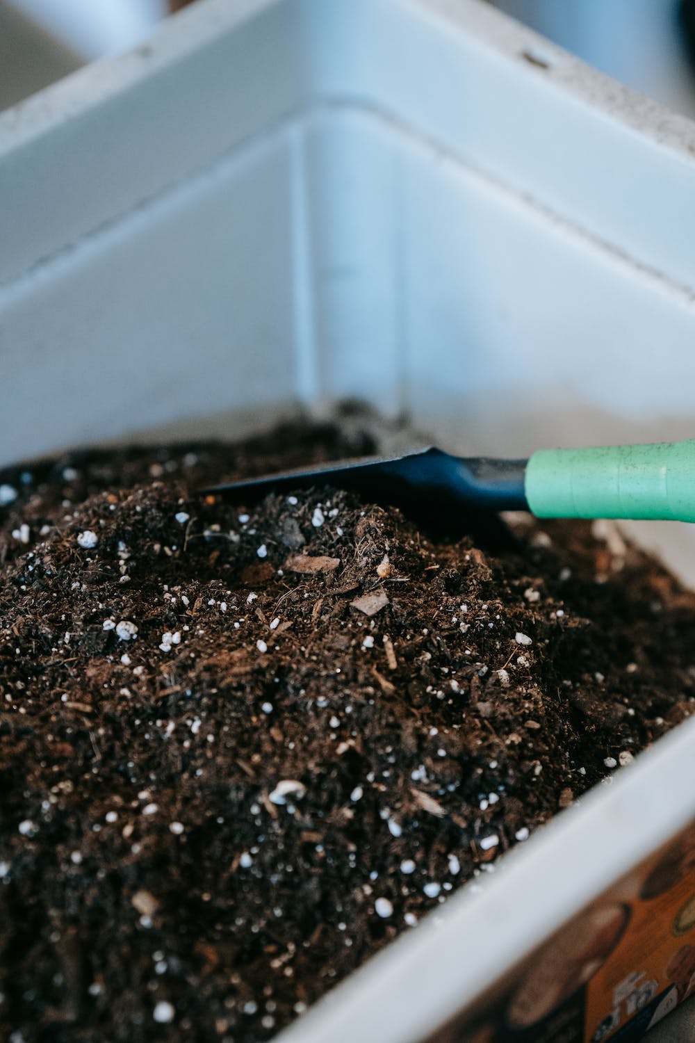 Substrat pour l'entretien de son alocasia