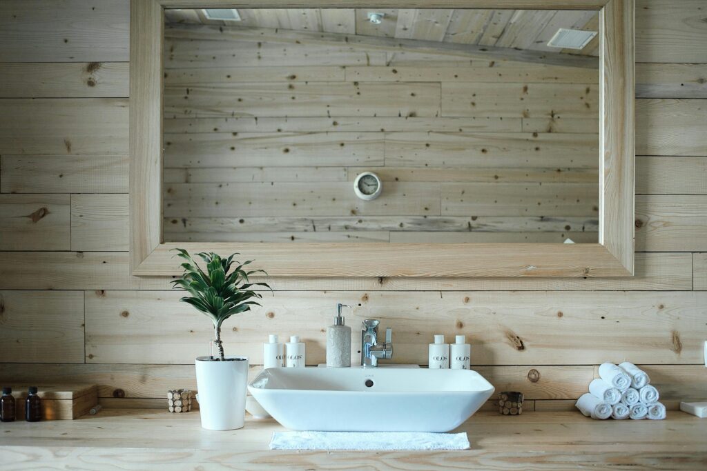 Une salle de bain avec une plante sur l'évier.